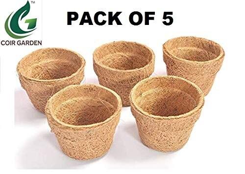 Coco Basket 4 INCH(10 Cm) 5 Pieces - Large Size Seedling Cups For Plants - COIR GARDEN